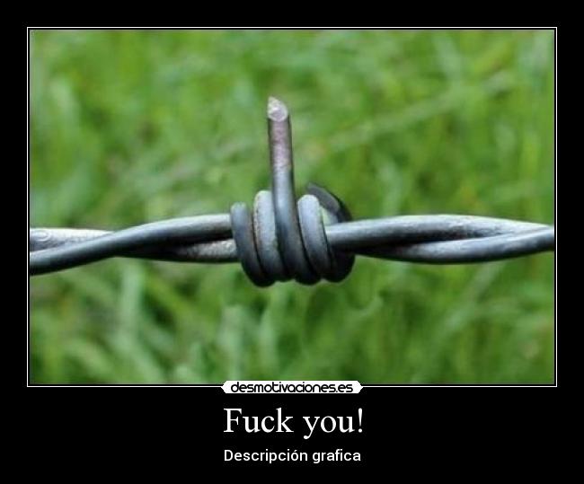 Fuck you! - Descripción grafica