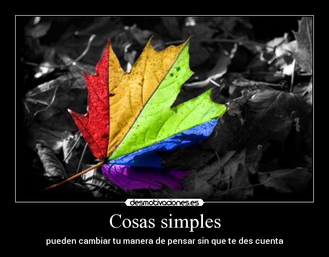 carteles simples cosas poder cambiar pensar cuenta dar ely desmotivaciones