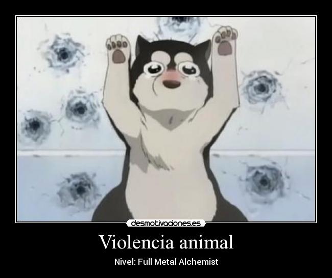 Violencia animal -