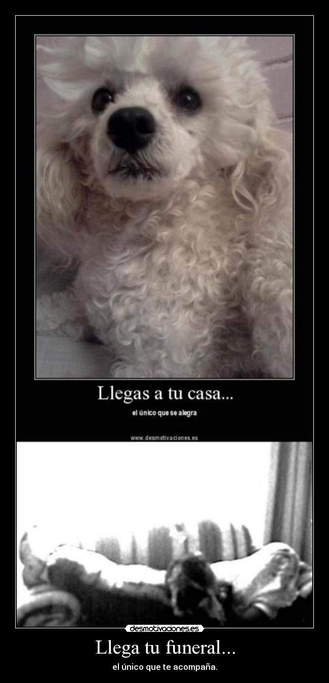 Llega tu funeral... - el único que te acompaña.