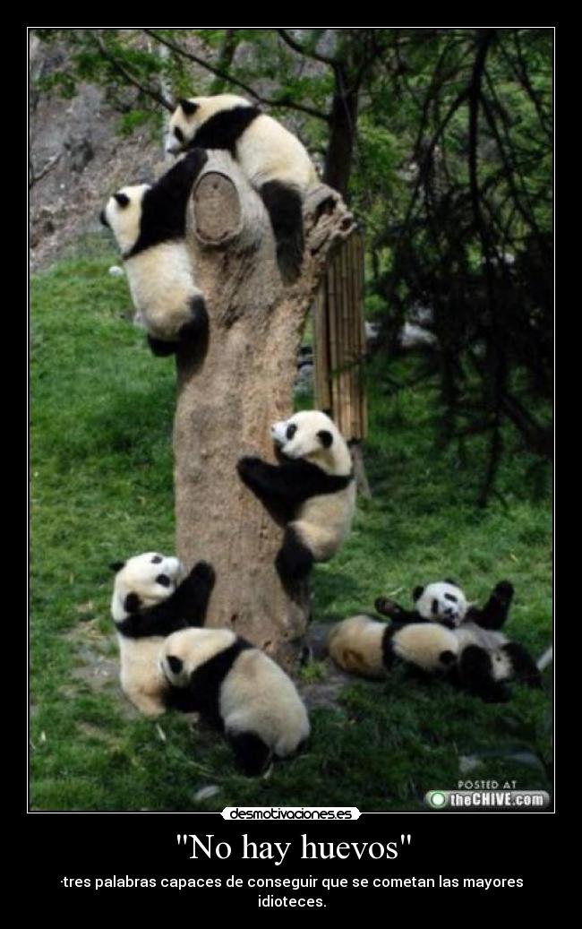 carteles somos simples desmotivaciones