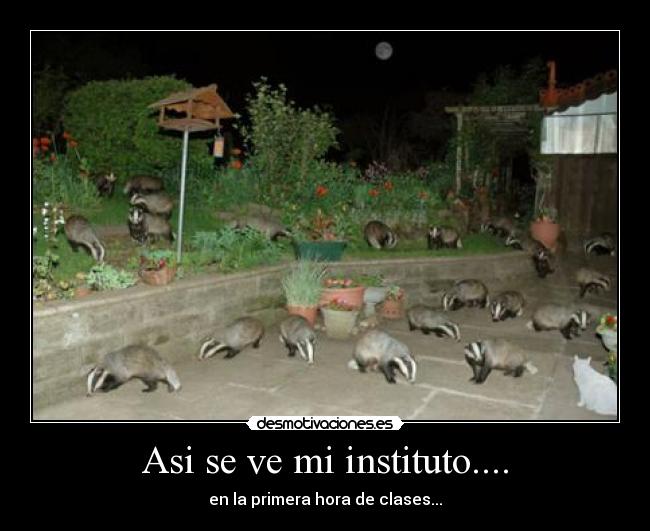 Asi se ve mi instituto.... - 