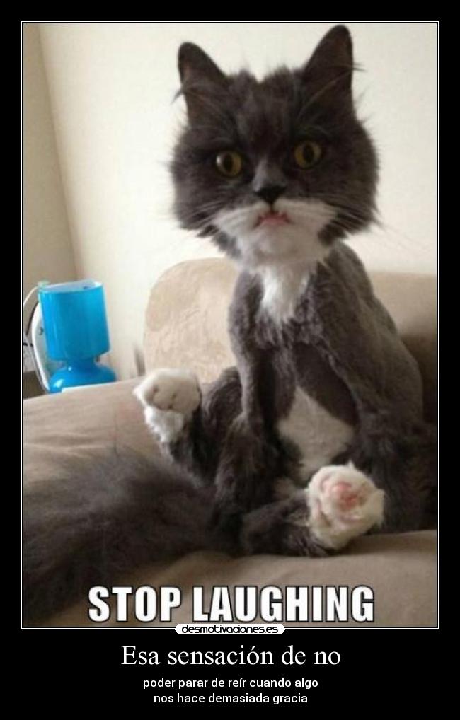 carteles pregunto que habra pasado desmotivaciones