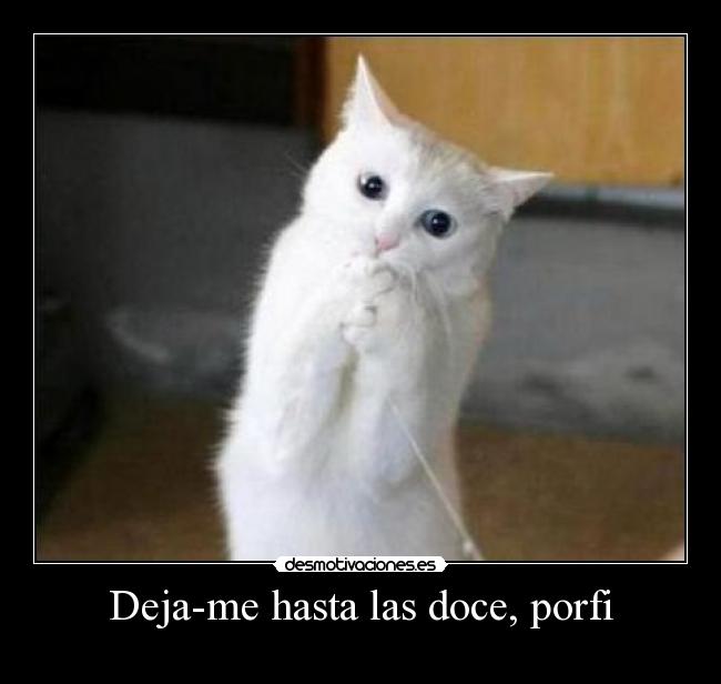 Deja-me hasta las doce, porfi - 