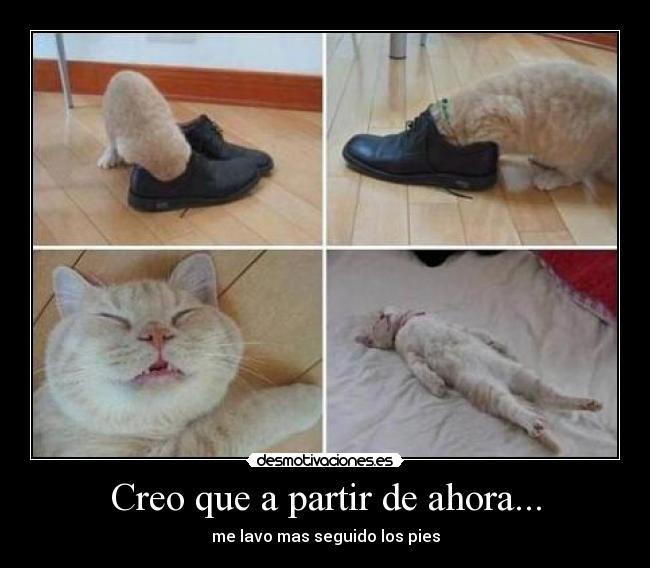 carteles gngngn desmotivaciones