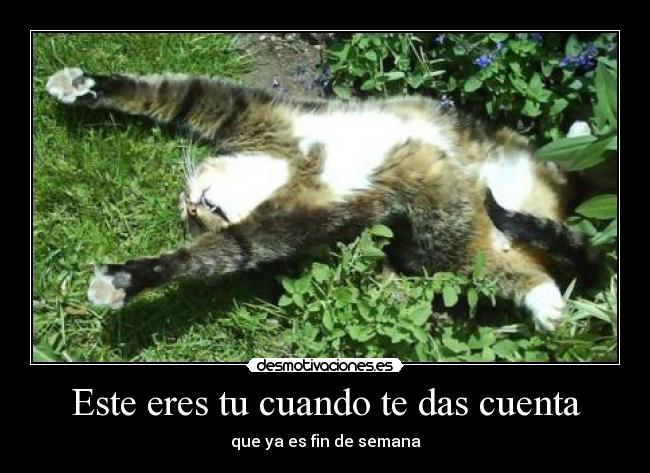Este eres tu cuando te das cuenta -