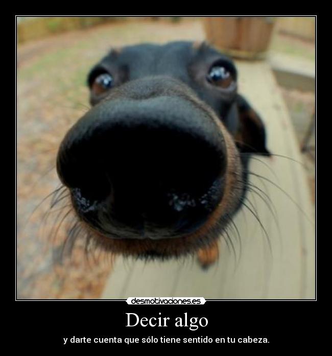 Decir algo - 