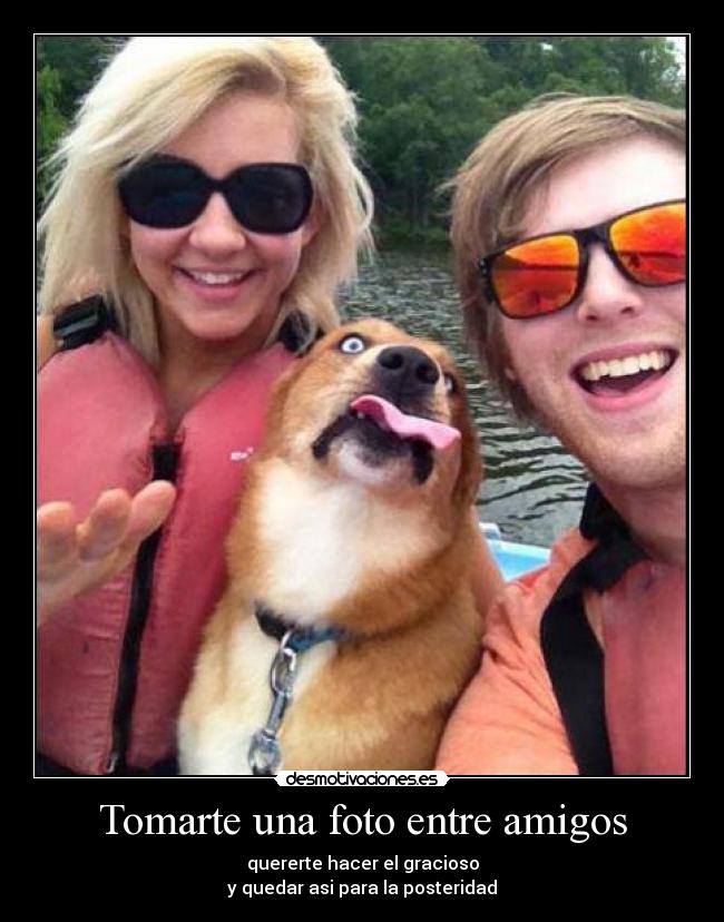 carteles amigos ccvcv desmotivaciones