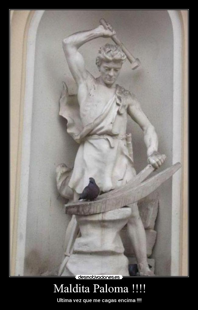 Maldita Paloma !!!! -
