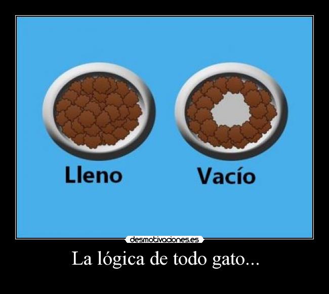 La lógica de todo gato... -