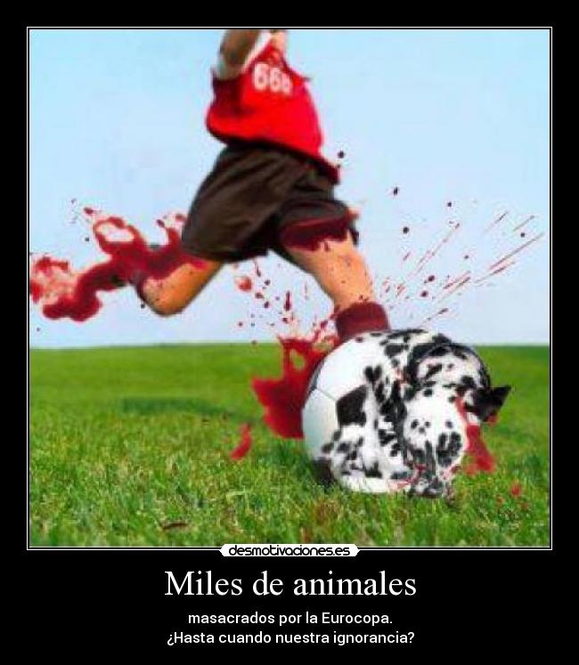 Miles de animales - masacrados por la Eurocopa.
¿Hasta cuando nuestra ignorancia?