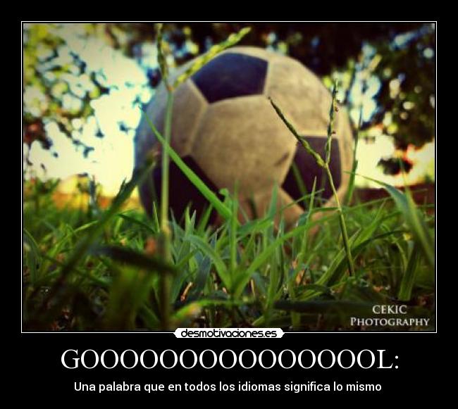GOOOOOOOOOOOOOOOL: -