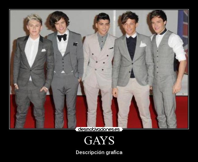GAYS -