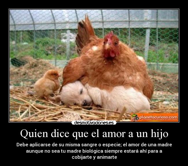 carteles amor familia desmotivaciones