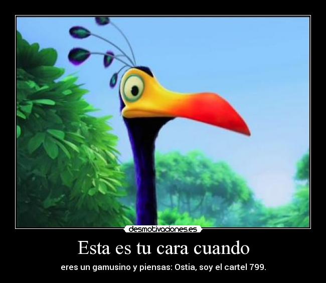 Esta es tu cara cuando - eres un gamusino y piensas: Ostia, soy el cartel 799.