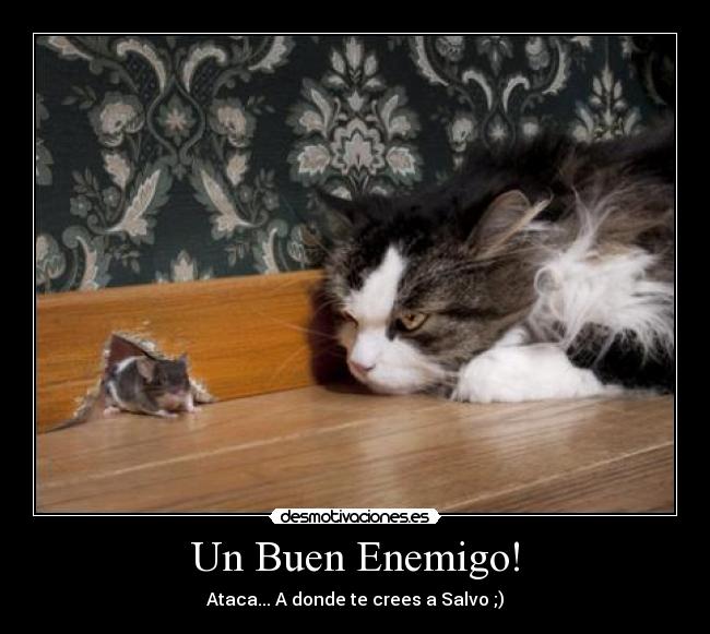 Un Buen Enemigo! - Ataca... A donde te crees a Salvo ;)