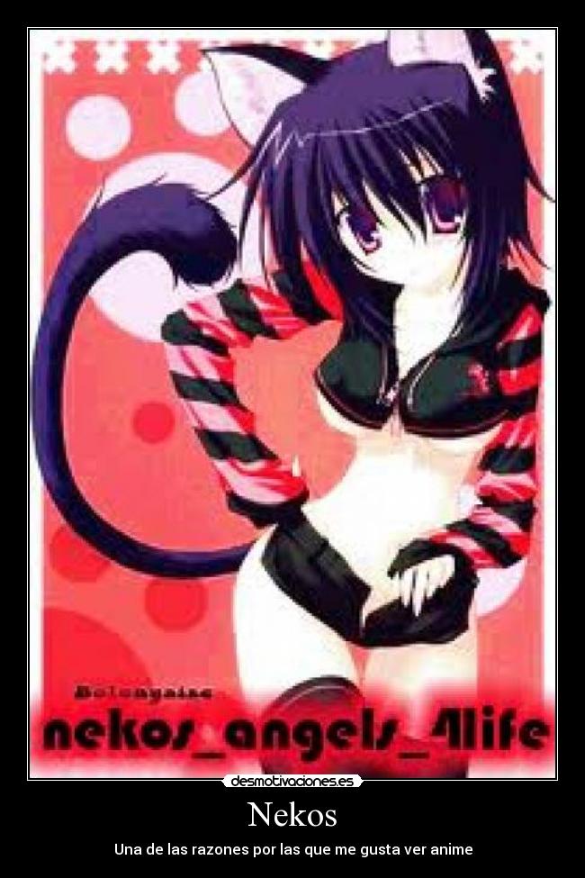 Nekos -
