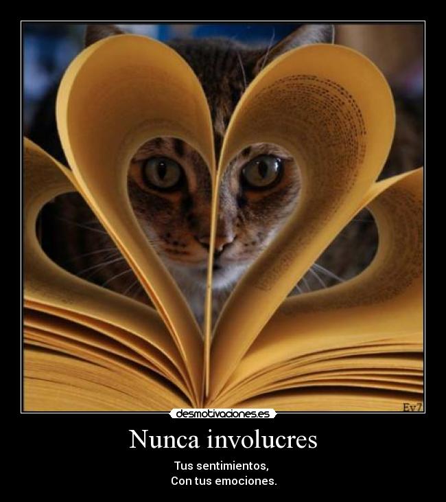 Nunca involucres -