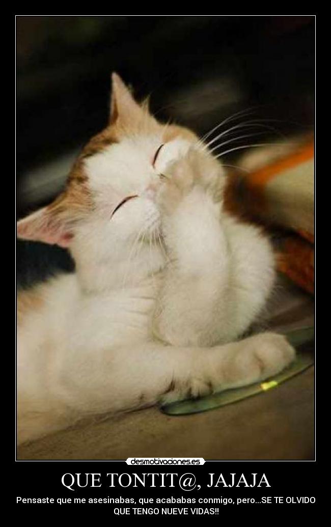 QUE TONTIT@, JAJAJA - 
