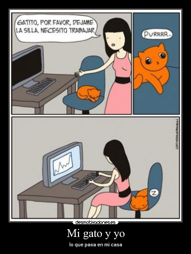 Mi gato y yo -