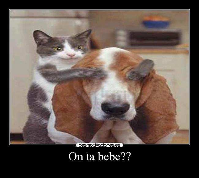 Imagenes Que Digan On Ta Bebe | on ta bebe desmotivaciones Imagenes Que Digan On Ta Bebe | on ta bebe desmotivaciones