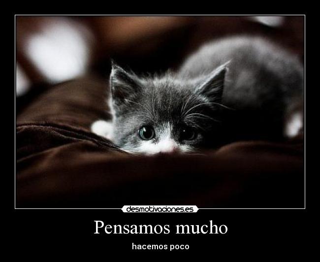 Pensamos mucho - hacemos poco