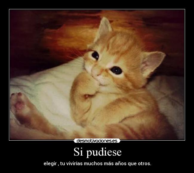 Si pudiese - elegir , tu vivirías muchos más años que otros.