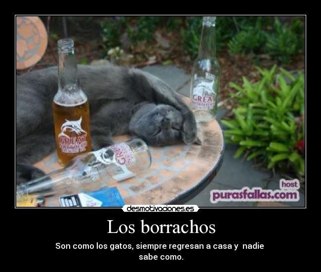 Los borrachos - Son como los gatos, siempre regresan a casa y nadie
sabe como.