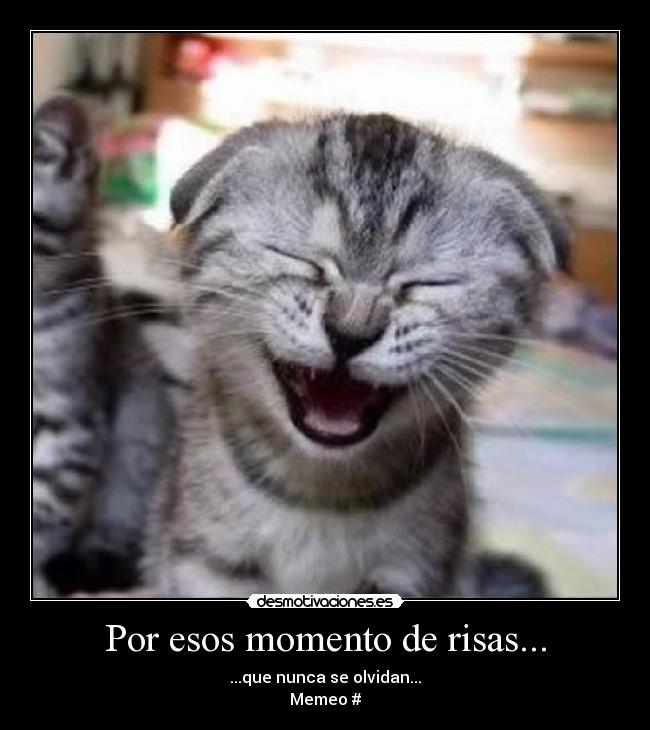 Por esos momento de risas... -