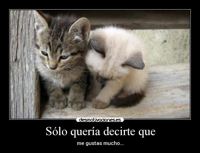 Sólo quería decirte que - 