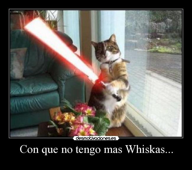 Con que no tengo mas Whiskas... -