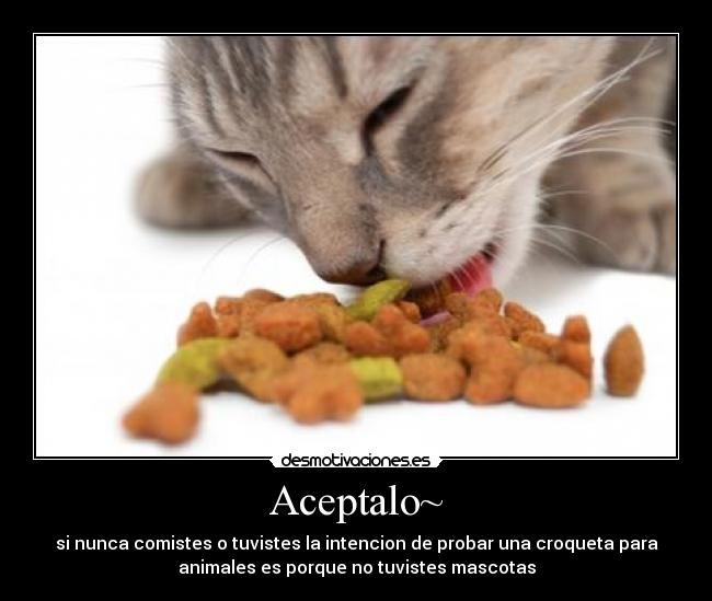 Aceptalo~ -