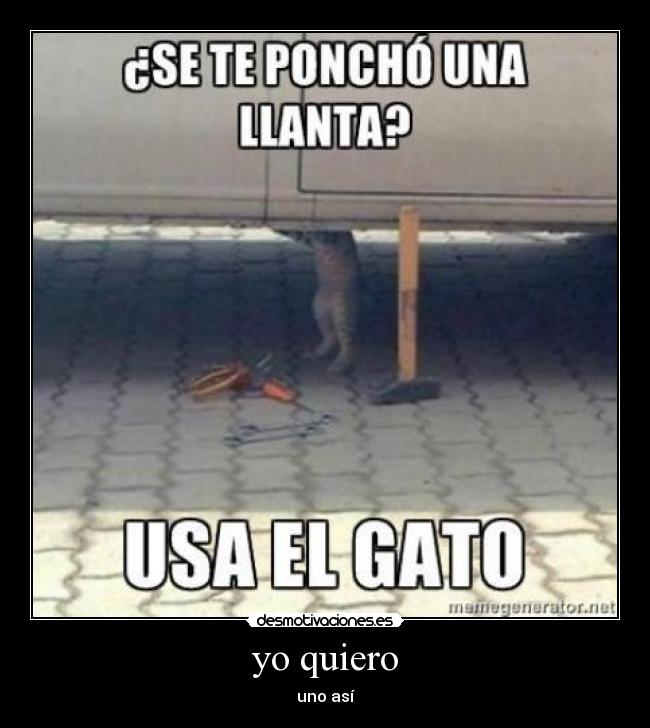 yo quiero -