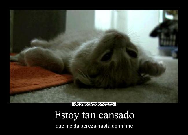 Estoy tan cansado -