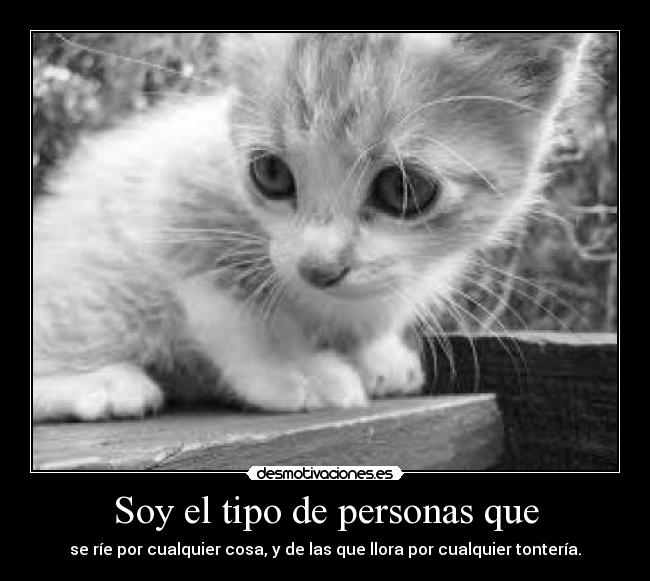 Soy el tipo de personas que - se ríe por cualquier cosa, y de las que llora por cualquier tontería.