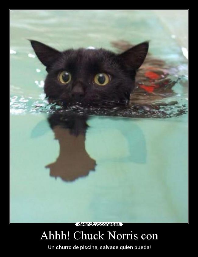 Ahhh! Chuck Norris con - 