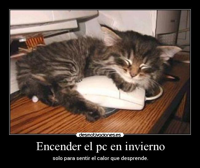 Encender el pc en invierno - solo para sentir el calor que desprende.