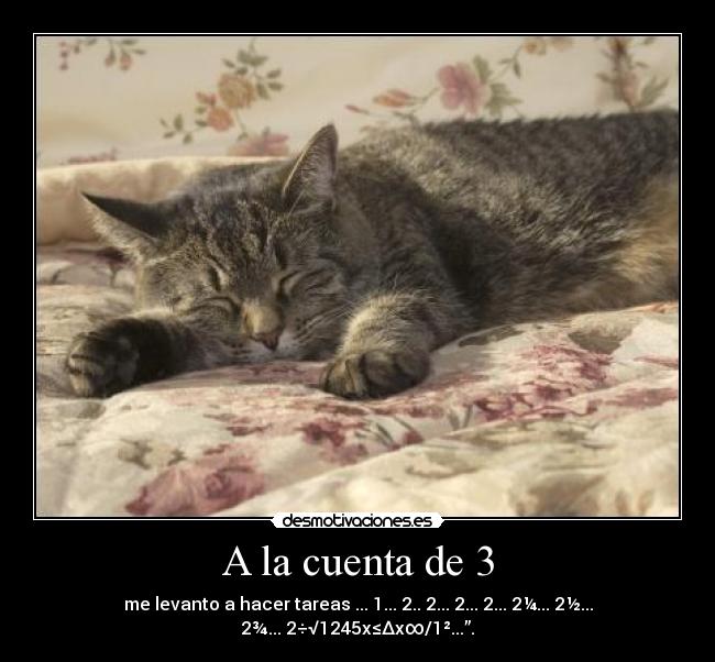 A la cuenta de 3 - me levanto a hacer tareas ... 1... 2.. 2... 2... 2... 2¼... 2½... 2¾... 2÷√1245x≤∆x∞/1²...”.
