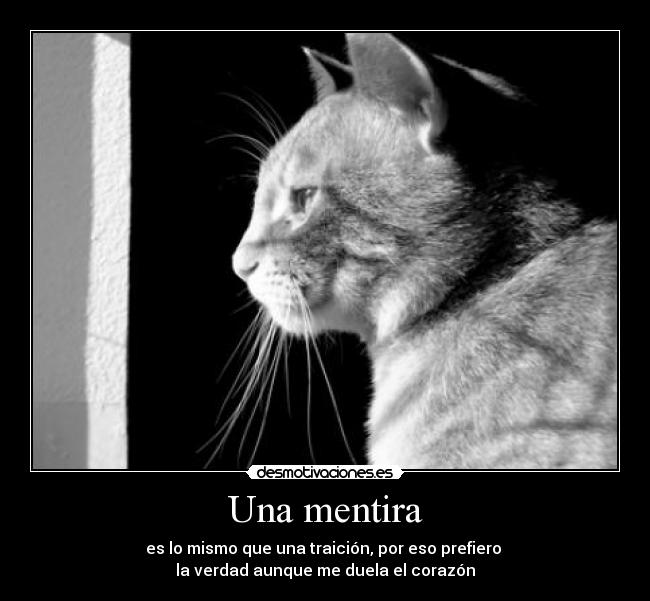 Una mentira - es lo mismo que una traición, por eso prefiero 
la verdad aunque me duela el corazón