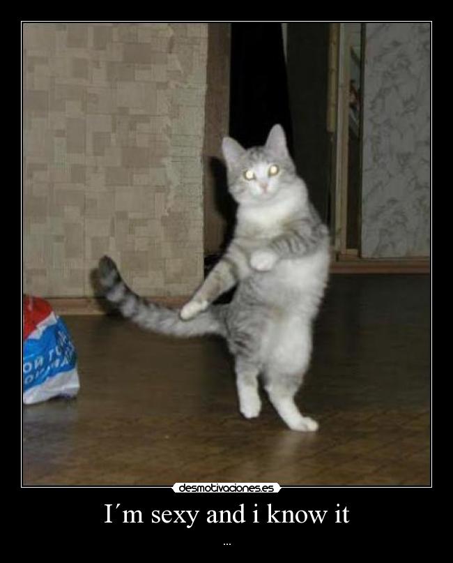 I´m sexy and i know it - 