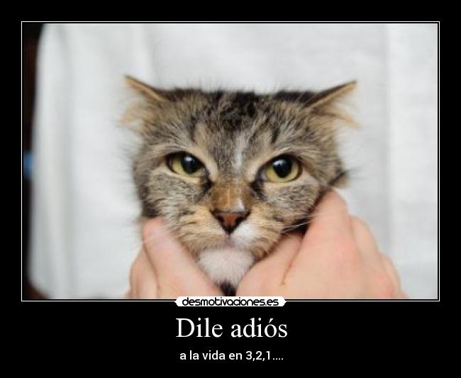 Dile adiós - a la vida en 3,2,1....