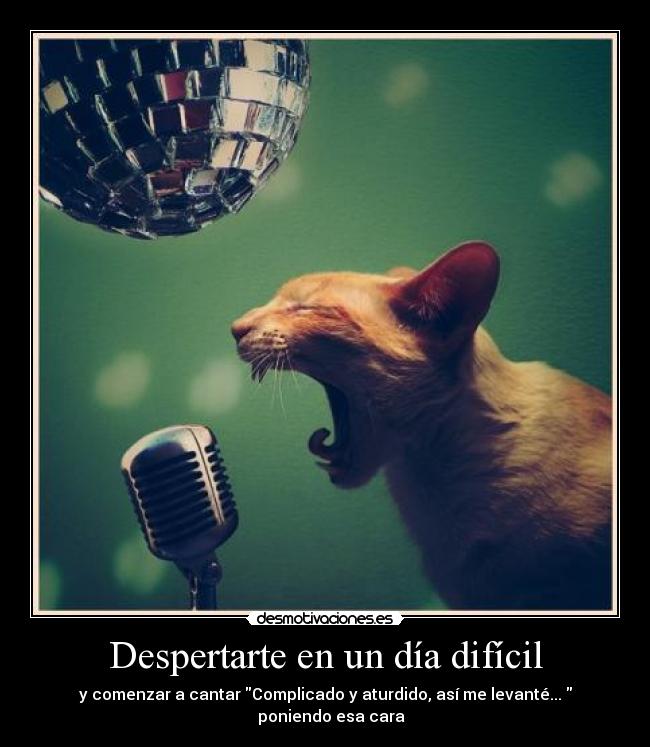 Despertarte en un día difícil - y comenzar a cantar Complicado y aturdido, así me levanté...
♪♫ poniendo esa cara