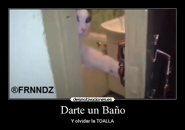 Darte un Baño - Y olvidar la TOALLA