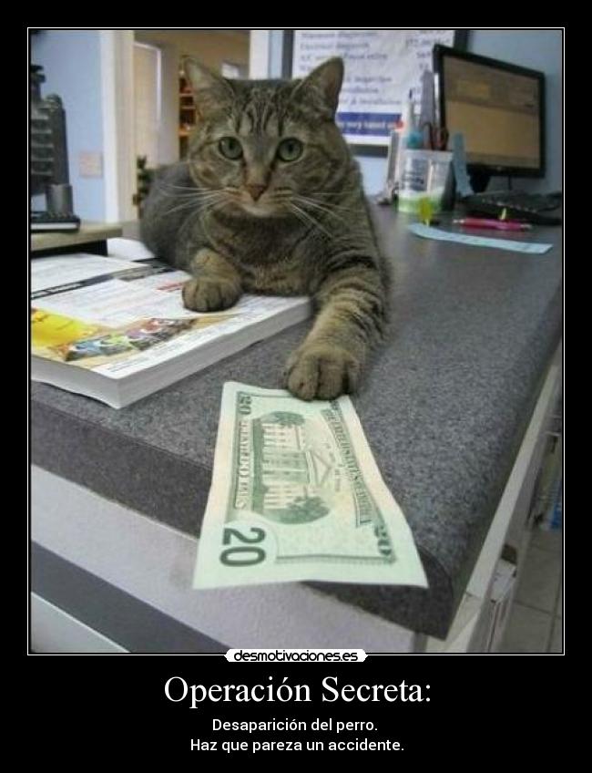 Operación Secreta: - Desaparición del perro.
Haz que pareza un accidente.