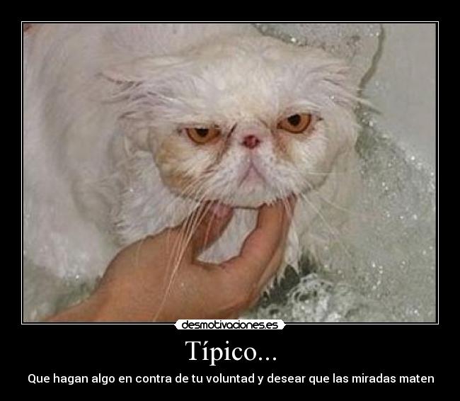 Típico... - Que hagan algo en contra de tu voluntad y desear que las miradas maten