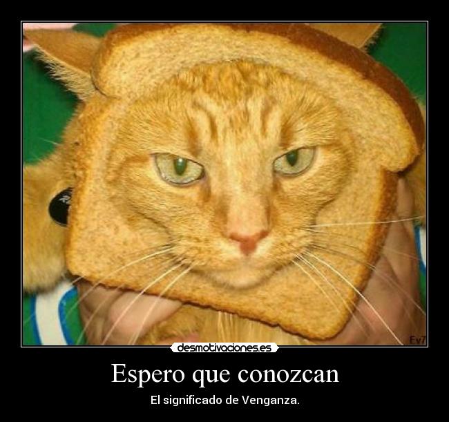 Espero que conozcan -