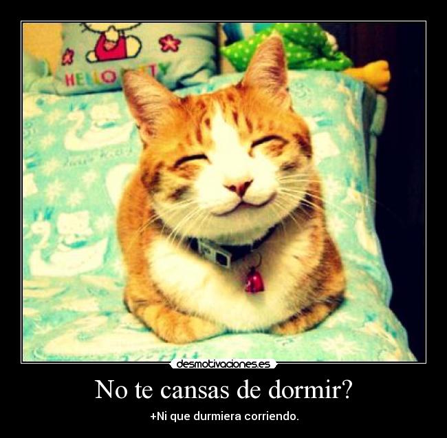 No te cansas de dormir? -