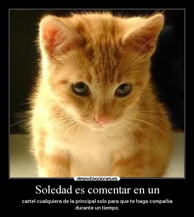 Soledad es comentar en un - cartel cualquiera de la principal solo para que te haga compañía durante un tiempo.