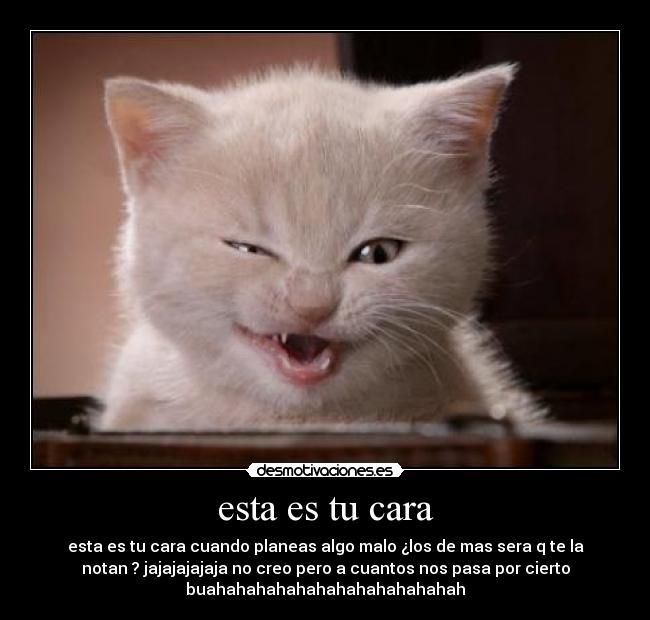 esta es tu cara - esta es tu cara cuando planeas algo malo ¿los de mas sera q te la
notan ? jajajajajaja no creo pero a cuantos nos pasa por cierto
buahahahahahahahahahahahahah