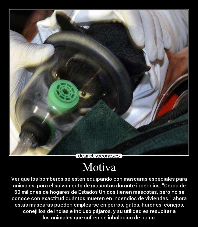 carteles motiva ver que ayuda esta llegando para los mas debiles pero mas puros corazon desmotivaciones